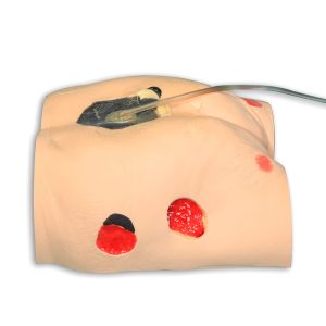 Seymour II Wound Care Model, Light