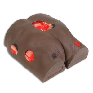 Seymour II Wound Care Model™, Dark
