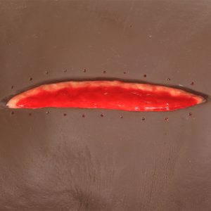Seymour II Wound Care Model™, Dark